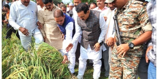 दतिया में बेमौसम बारिश से फसलों को नुकसान, पूर्व गृहमंत्री डॉ. नरोत्तम मिश्रा ने लिया जायजा 